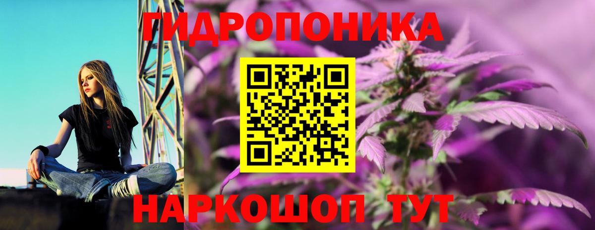Конопля гибрид  Канабис Bruce Banner  Каннабис Ganja  Вход с VPN  Канабис Amnesia  Партизанск 